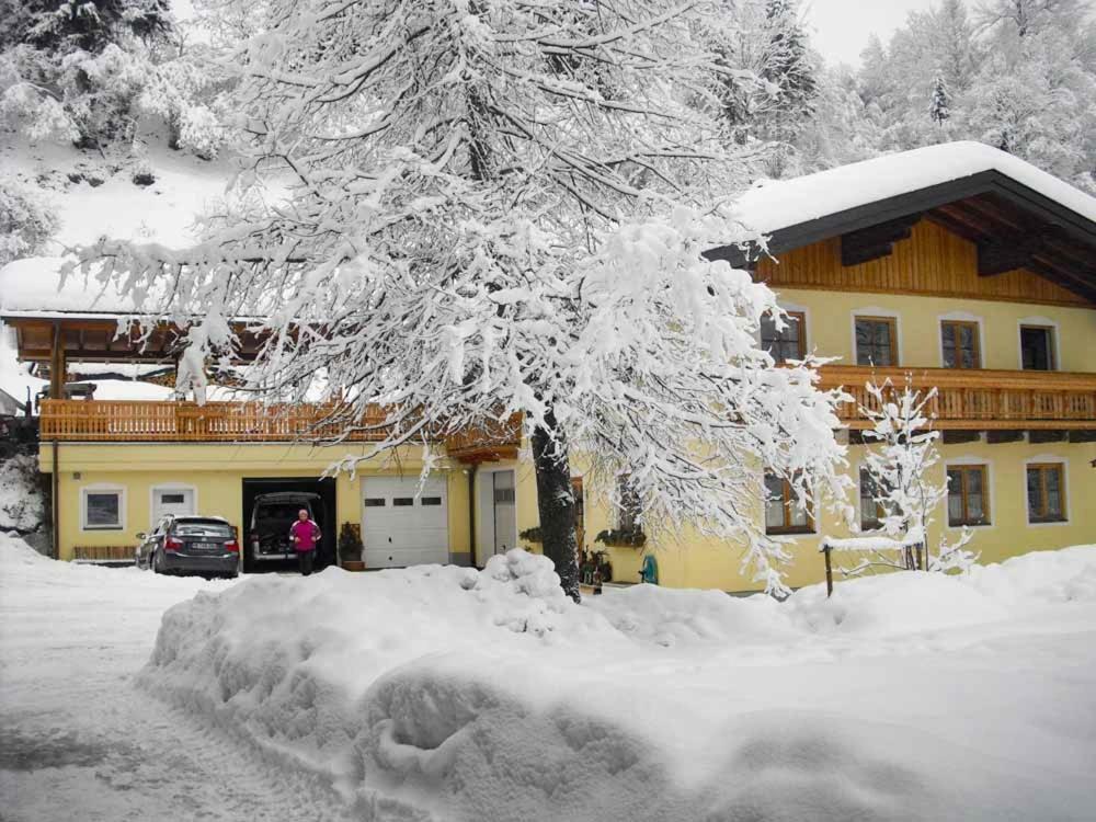 Grubhof Weissenbacher Altenmarkt im Pongau Zewnętrze zdjęcie