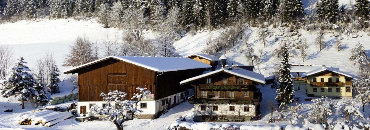 Grubhof Weissenbacher Altenmarkt im Pongau Zewnętrze zdjęcie