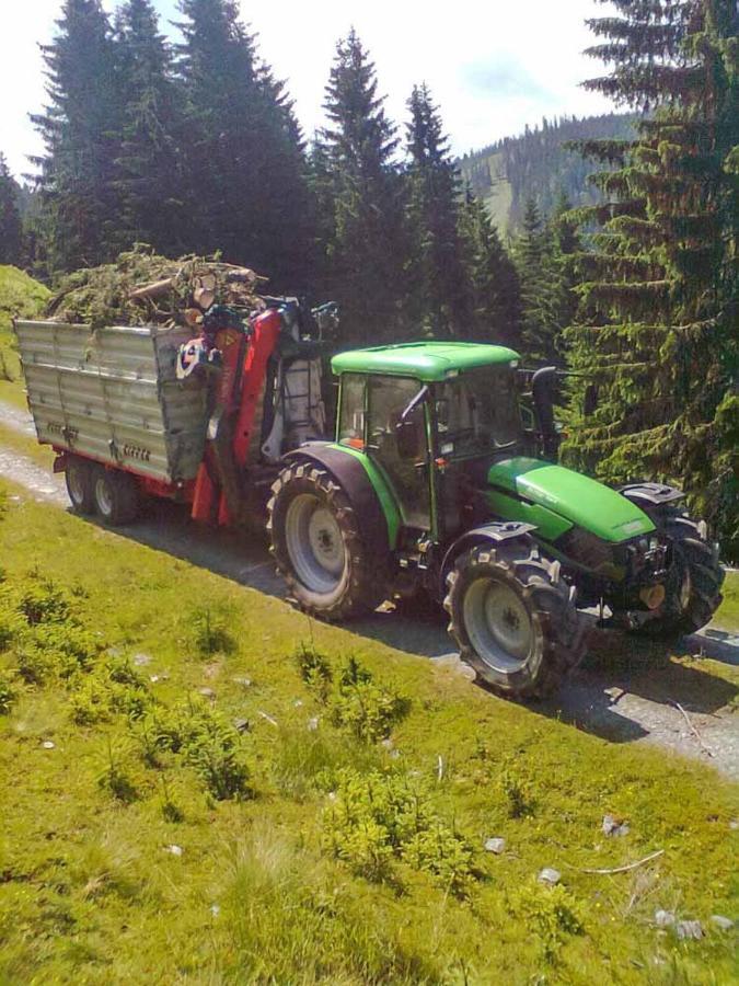 Grubhof Weissenbacher Altenmarkt im Pongau Zewnętrze zdjęcie